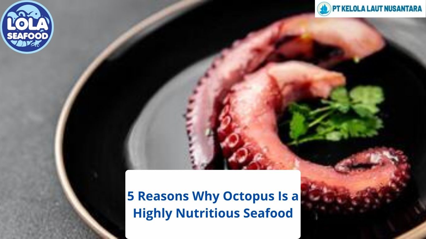 5 Reasons Why Octopus Is a Highly Nutritious Seafood